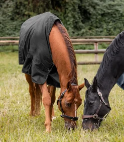 Waldhausen Outdoordecken><noscript><img width=