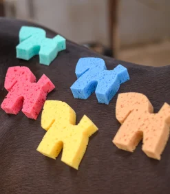 Waldhausen Pferdewäsche></noscript>Pferdchen-Schwamm