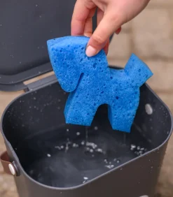 Waldhausen Pferdewäsche></noscript>Pferdchen-Schwamm