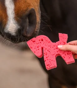 Waldhausen Pferdewäsche></noscript>Pferdchen-Schwamm