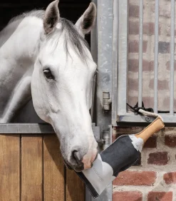 Waldhausen Pferdespielzeug & Beschäftigung>Pferdespielzeug Sektflasche