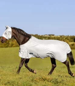 Waldhausen Pony & Shetty|Fliegen- & Ekzemerdecken></noscript>PROTECT Fliegendecke