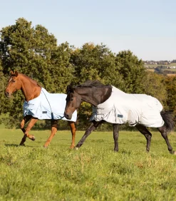 Waldhausen Pony & Shetty|Fliegen- & Ekzemerdecken></noscript>PROTECT Fliegendecke