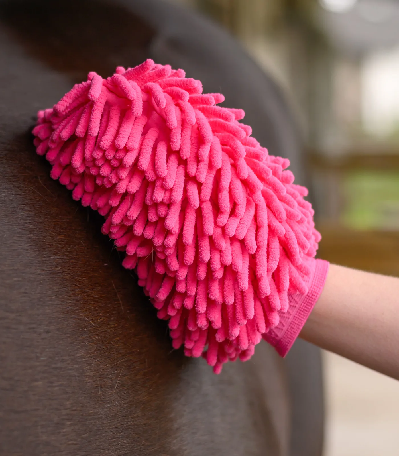 Waldhausen Pferdewäsche|Putzzeug>Putzhandschuh Mikrofaser