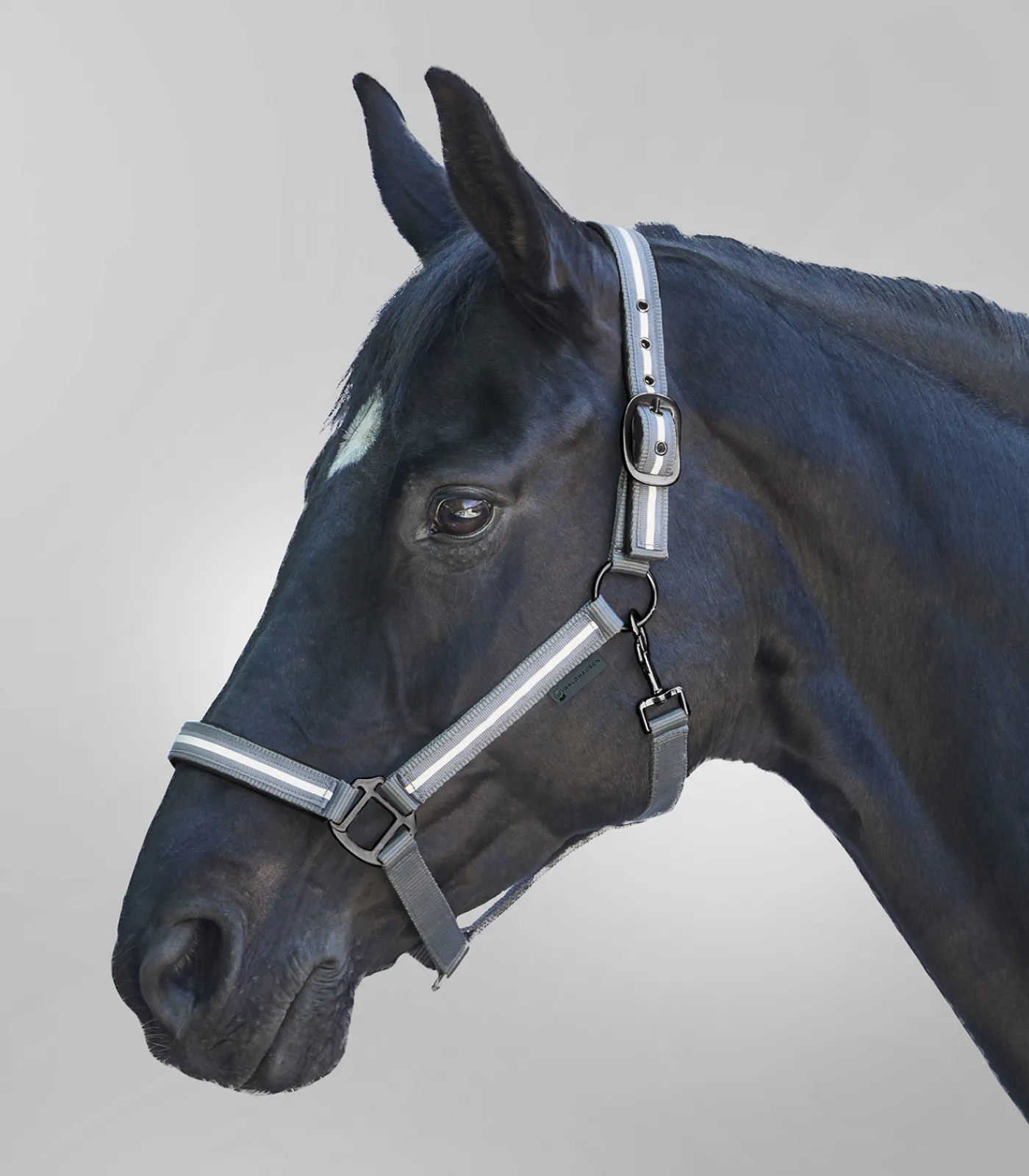 Waldhausen Pony & Shetty|Reflexprodukte>REFLEX Halfter Stripe