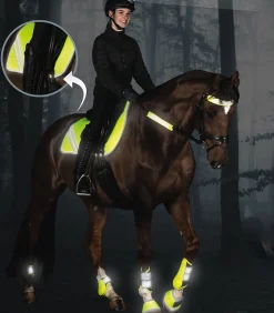 Waldhausen Reflexprodukte|Schabracken><noscript><img width=