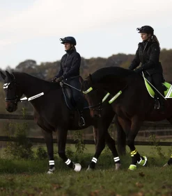 Waldhausen Reflexprodukte|Trensenzubehör></noscript>REFLEX  Trensenzaum-Set
