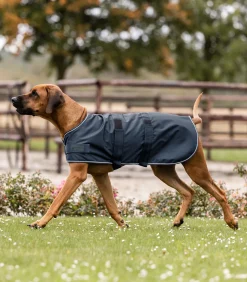 Waldhausen Hundebedarf></noscript>Regen-Hundedecke