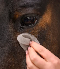 Waldhausen Lederpflege|Pferdewäsche><noscript><img width=