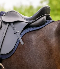 Waldhausen Satteldecken><noscript><img width=