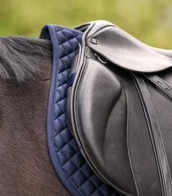 Waldhausen Satteldecken><noscript><img width=