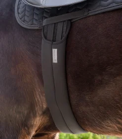 Waldhausen Sattelgurte>Sattelgurt