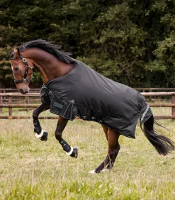 Waldhausen Outdoordecken><noscript><img width=