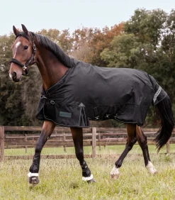 Waldhausen Outdoordecken><noscript><img width=