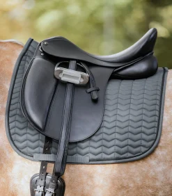 Waldhausen Schabracken><noscript><img width=