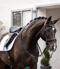 Waldhausen Schabracken><noscript><img width=