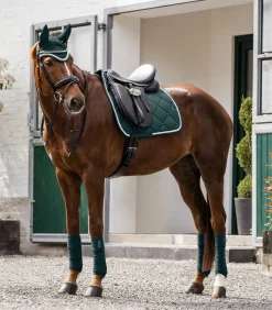 Waldhausen Turnierschabracken & Fliegenohren|Schabracken></noscript>Schabracke Competition