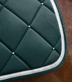 Waldhausen Turnierschabracken & Fliegenohren|Schabracken></noscript>Schabracke Competition