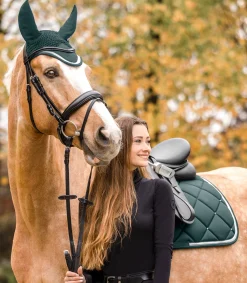 Waldhausen Turnierschabracken & Fliegenohren|Schabracken></noscript>Schabracke Competition