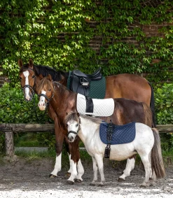 Waldhausen Pony & Shetty|Schabracken><noscript><img width=