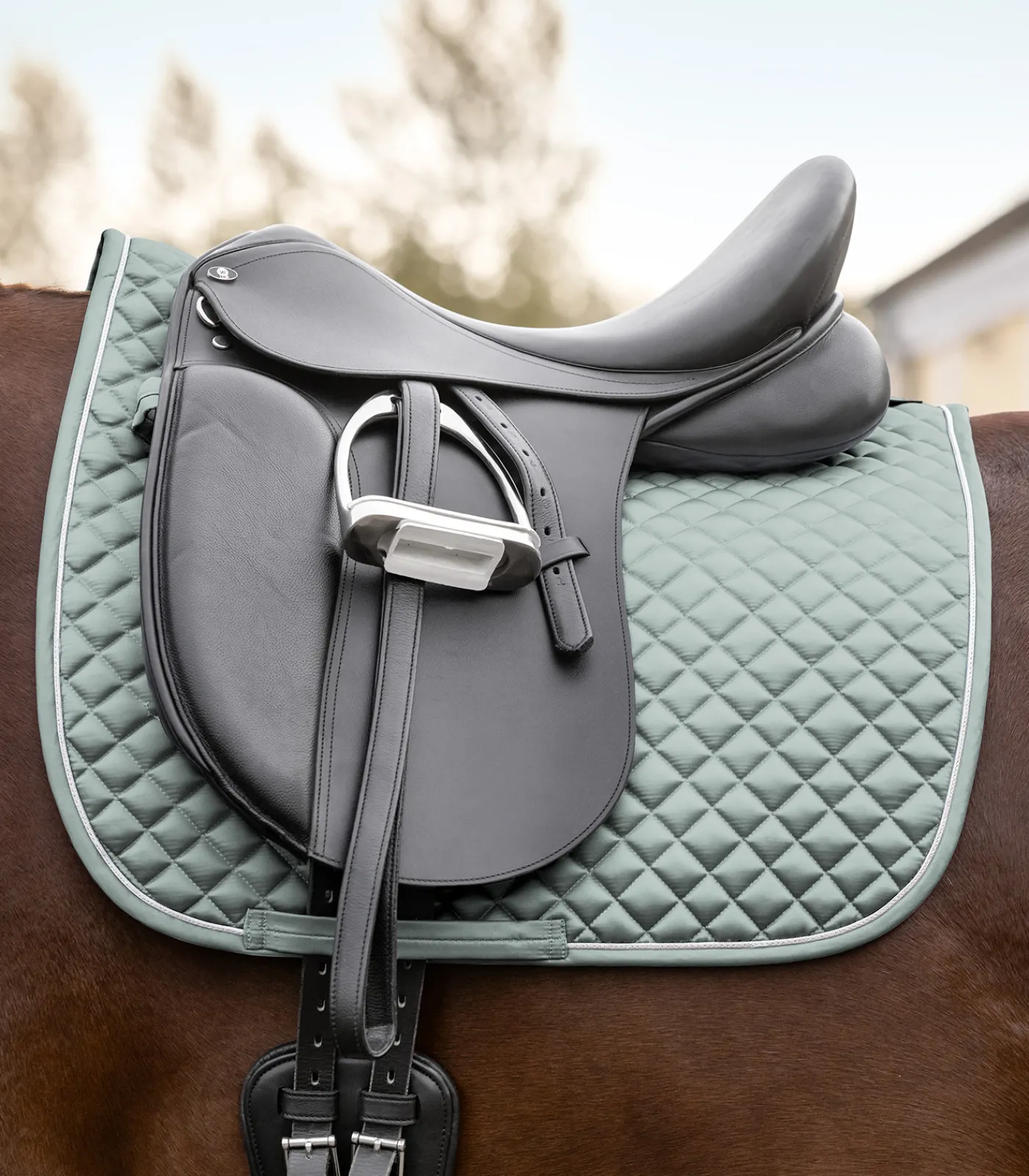 Waldhausen Schabracken>Schabracke Felix Glam