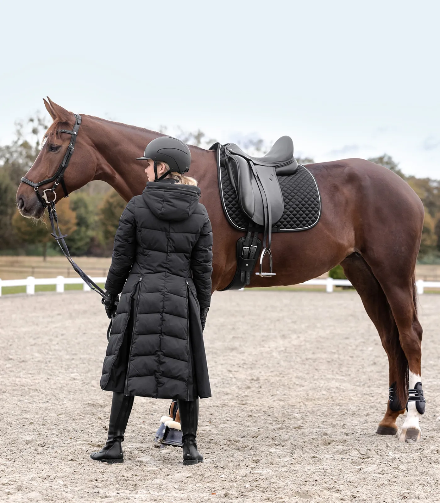 Waldhausen Schabracken>Schabracke Felix Glam