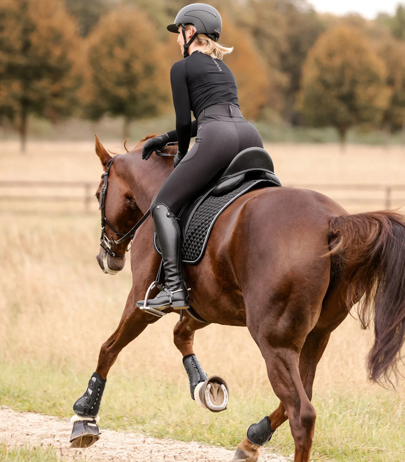 Waldhausen Schabracken>Schabracke Felix Glam