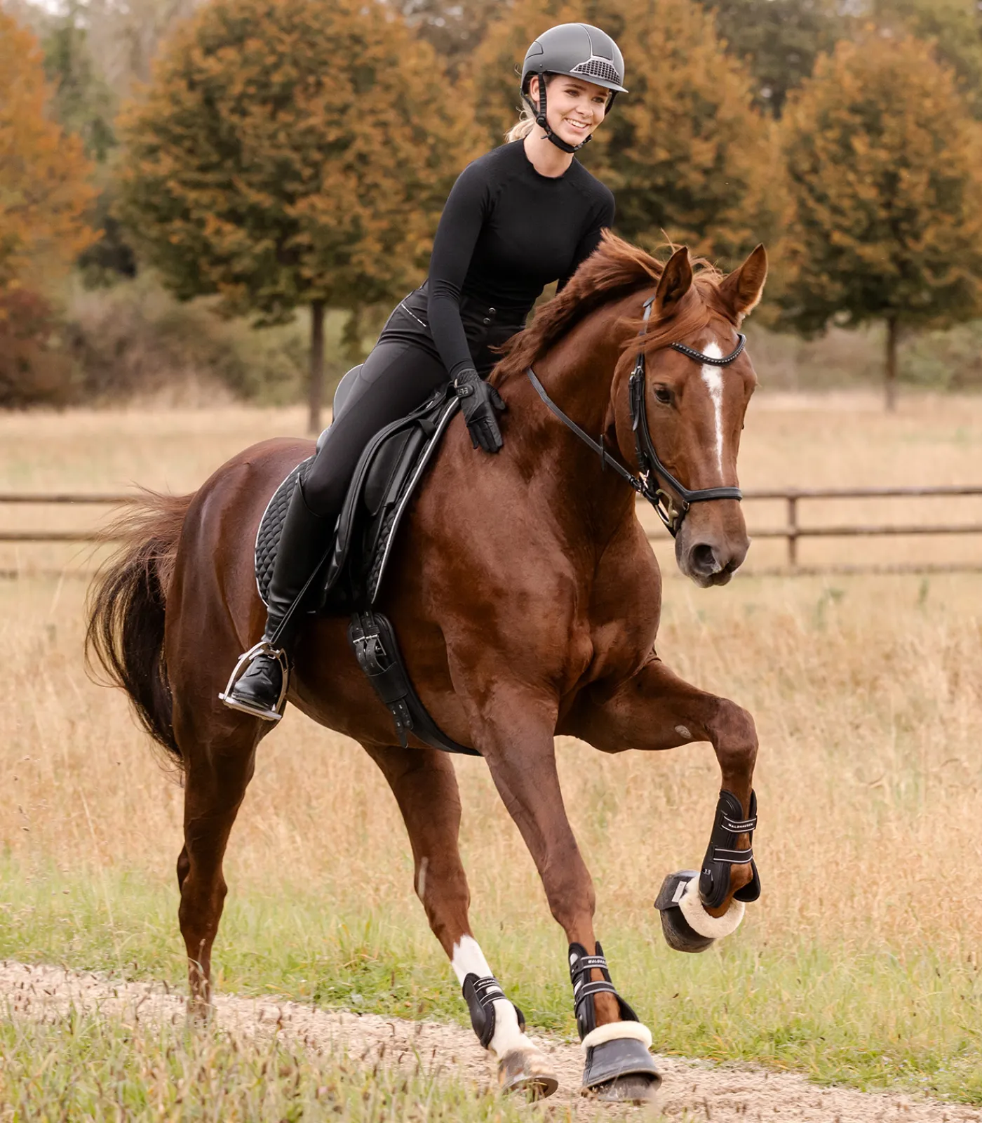 Waldhausen Schabracken>Schabracke Felix Glam