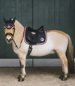 Waldhausen Schabracken><noscript><img width=