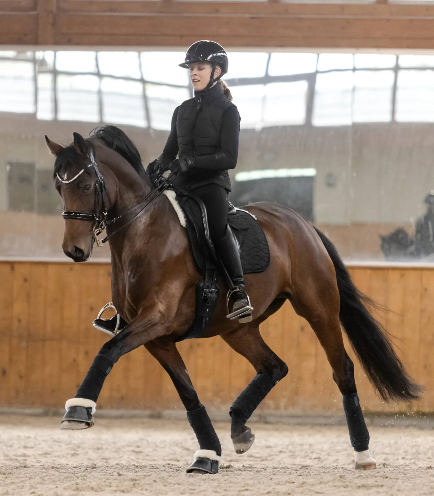 Waldhausen Lammfelle|Schabracken>Schabracke Mailand