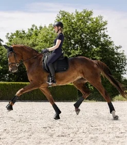 Waldhausen Schabracken><noscript><img width=