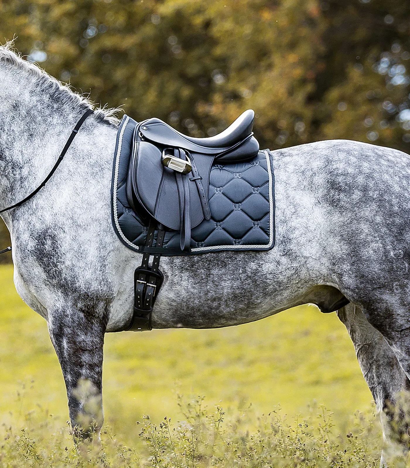 Waldhausen Pony & Shetty|Schabracken>Schabracke Valencia