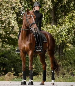 Waldhausen Pony & Shetty|Schabracken><noscript><img width=