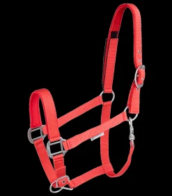 Waldhausen Pony & Shetty|Halfter><noscript><img width=