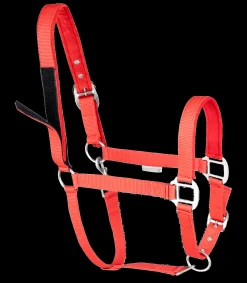 Waldhausen Pony & Shetty|Halfter><noscript><img width=