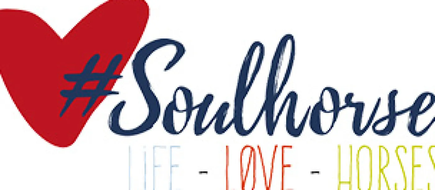 #soulhorse Fell, Mähne & Haut>Soulhorse Lili’s #Pony-Schaumbad