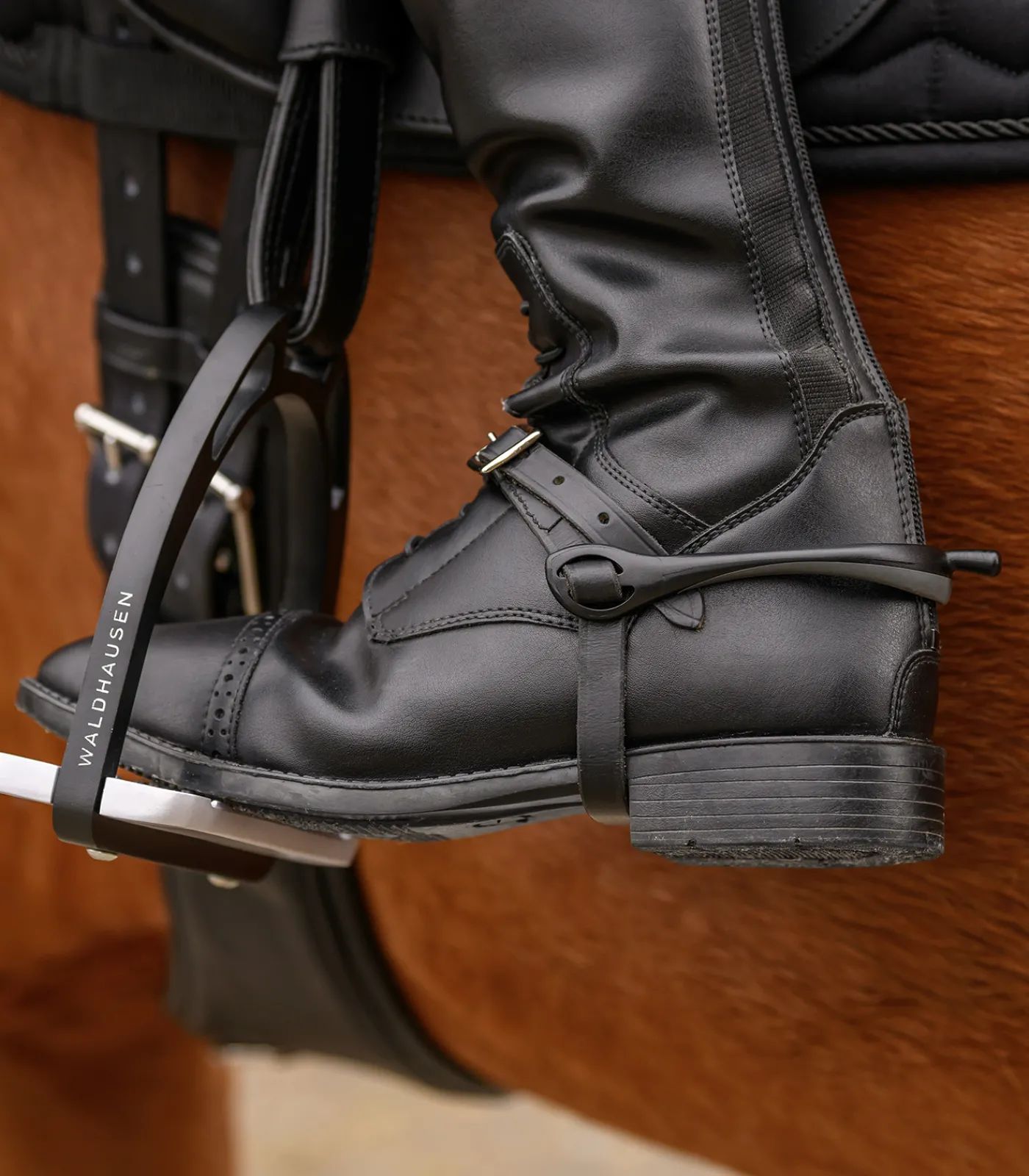 Waldhausen Sporen & Sporenriemen>Sporen gentle contact