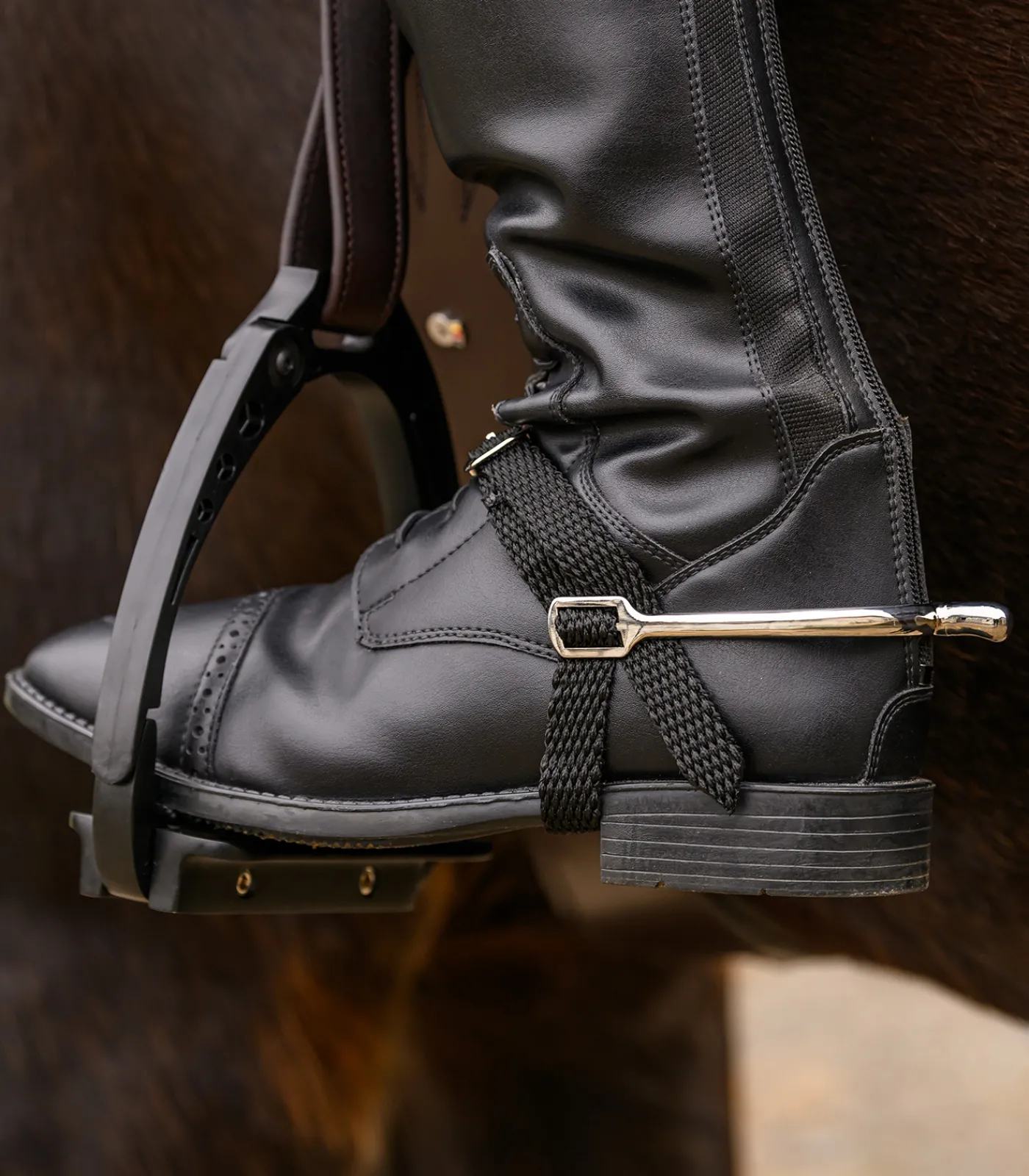 Waldhausen Sporen & Sporenriemen>Sporen-Set für Damen