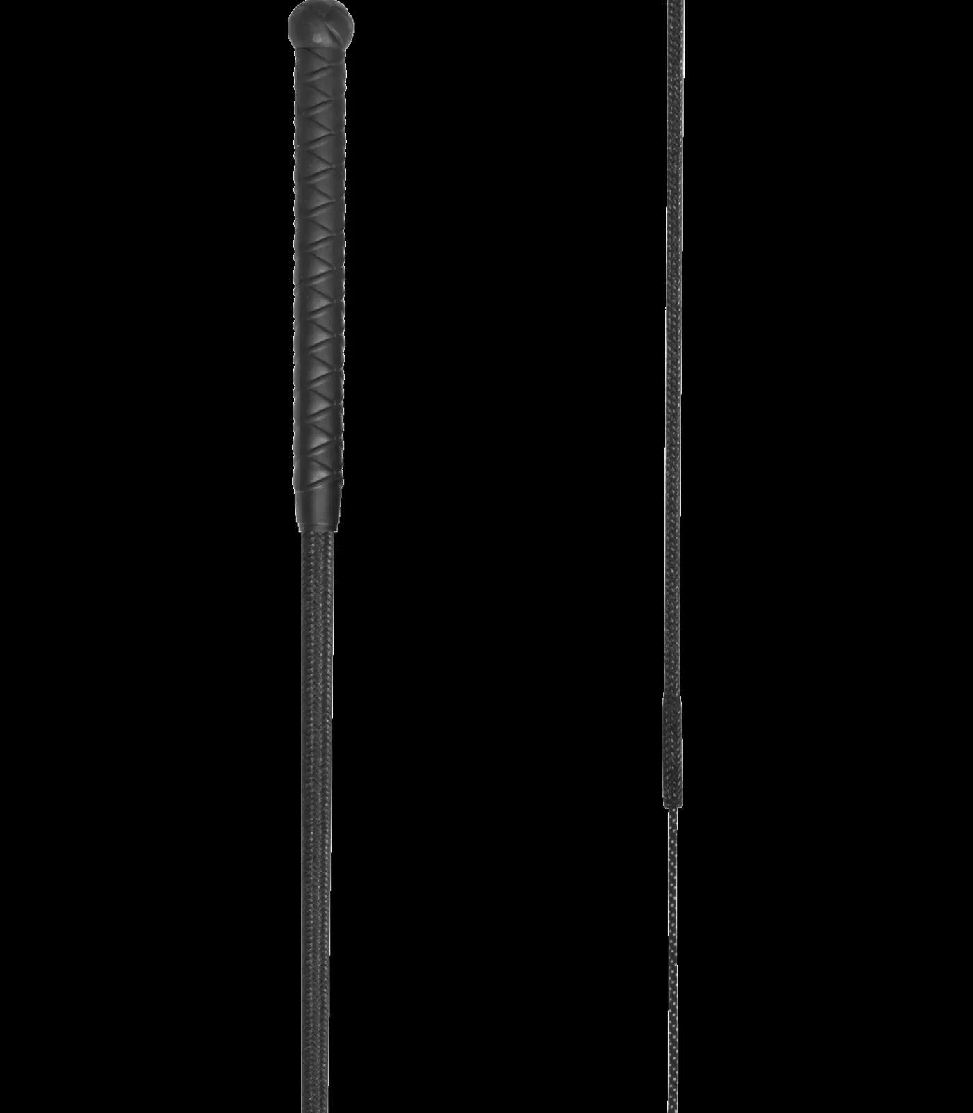 Waldhausen Springgerten>Springgerte - Basic