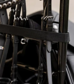 Waldhausen Sattelschränke, Boxentaschen & Aufbewahrung|Anbinder, Halter & Haken></noscript>Stall-Carry, Metall