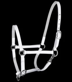 STAR Fohlen|Pony & Shetty>Fohlenvorführhalfter, Leder