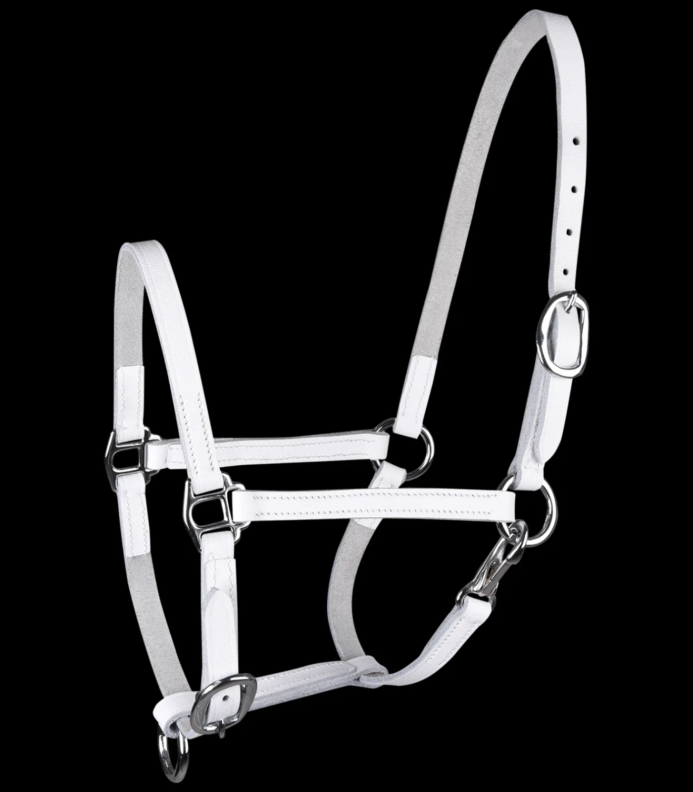 STAR Fohlen|Pony & Shetty>Fohlenvorführhalfter, Leder