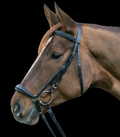 STAR Pony & Shetty|Shetty Trensenzäume>Trensenzaum Hannover