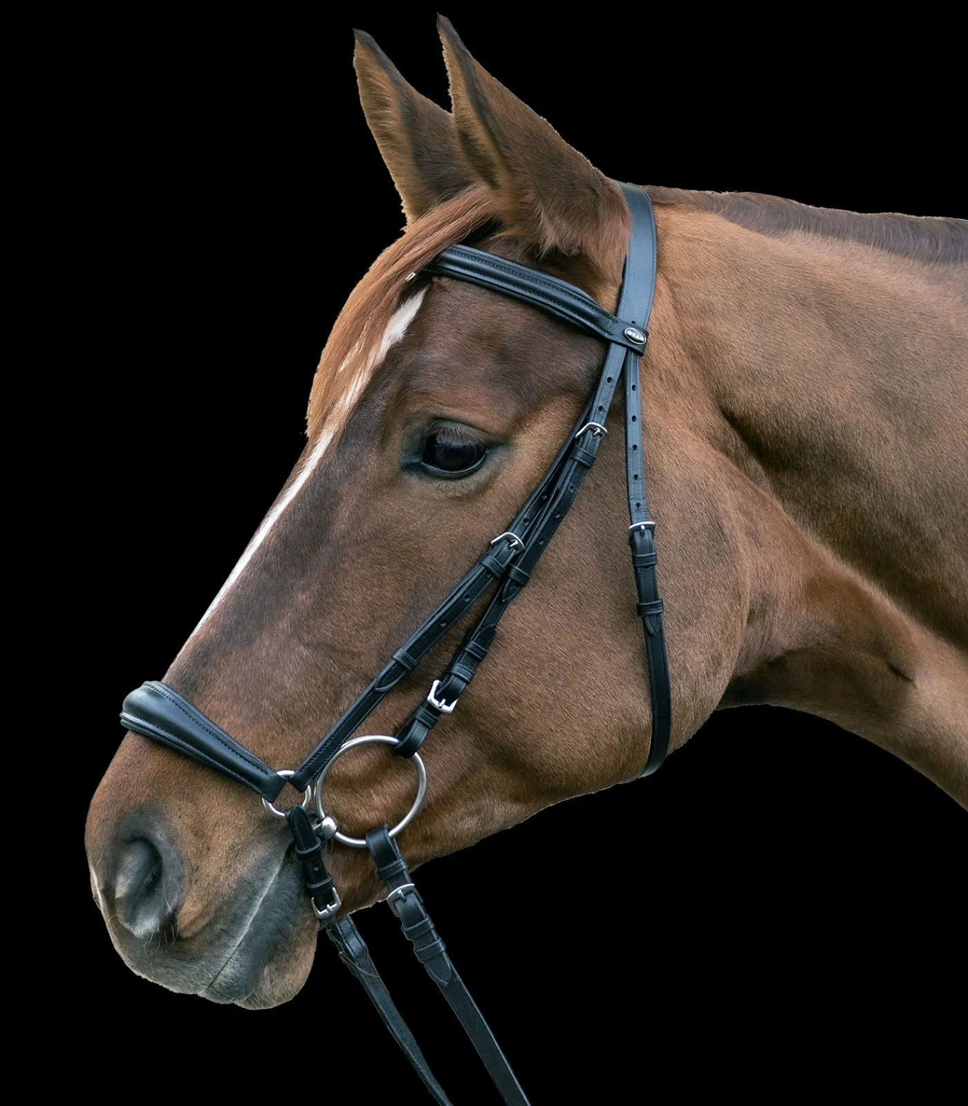 STAR Pony & Shetty|Shetty Trensenzäume>Trensenzaum Hannover