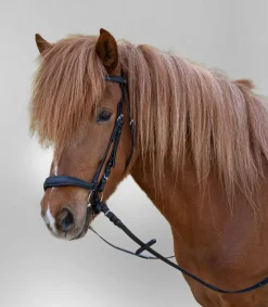 STAR Pony & Shetty|Shetty Trensenzäume>Trensenzaum Hannover