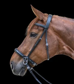 STAR Pony & Shetty|Trensenzäume>Zaum Gebisslos