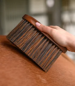 Waldhausen Putzzeug>Staubbürste HardWood