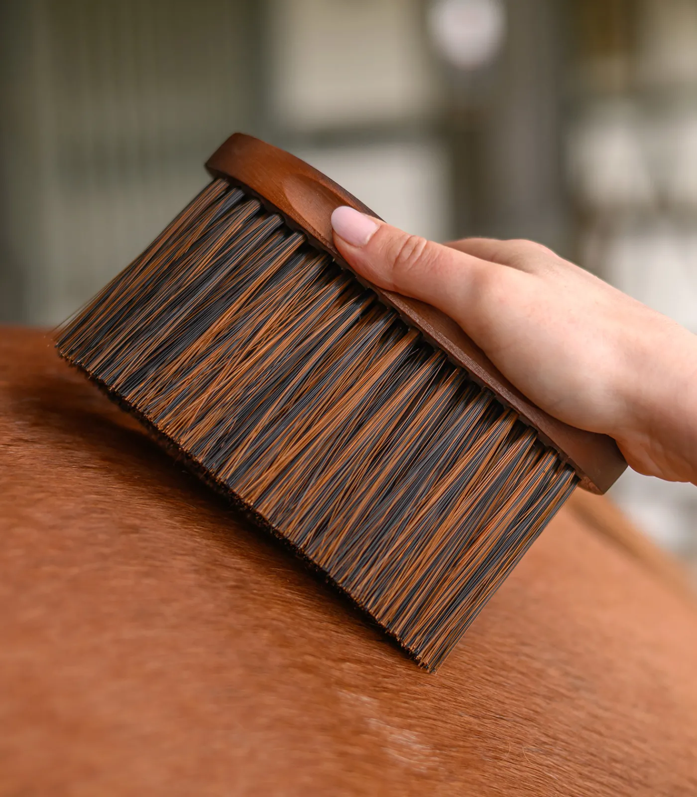 Waldhausen Putzzeug>Staubbürste HardWood