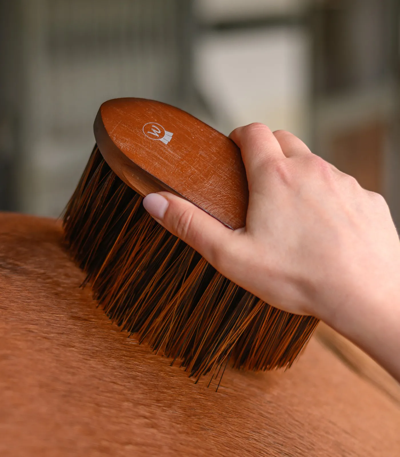 Waldhausen Putzzeug>Staubbürste HardWood