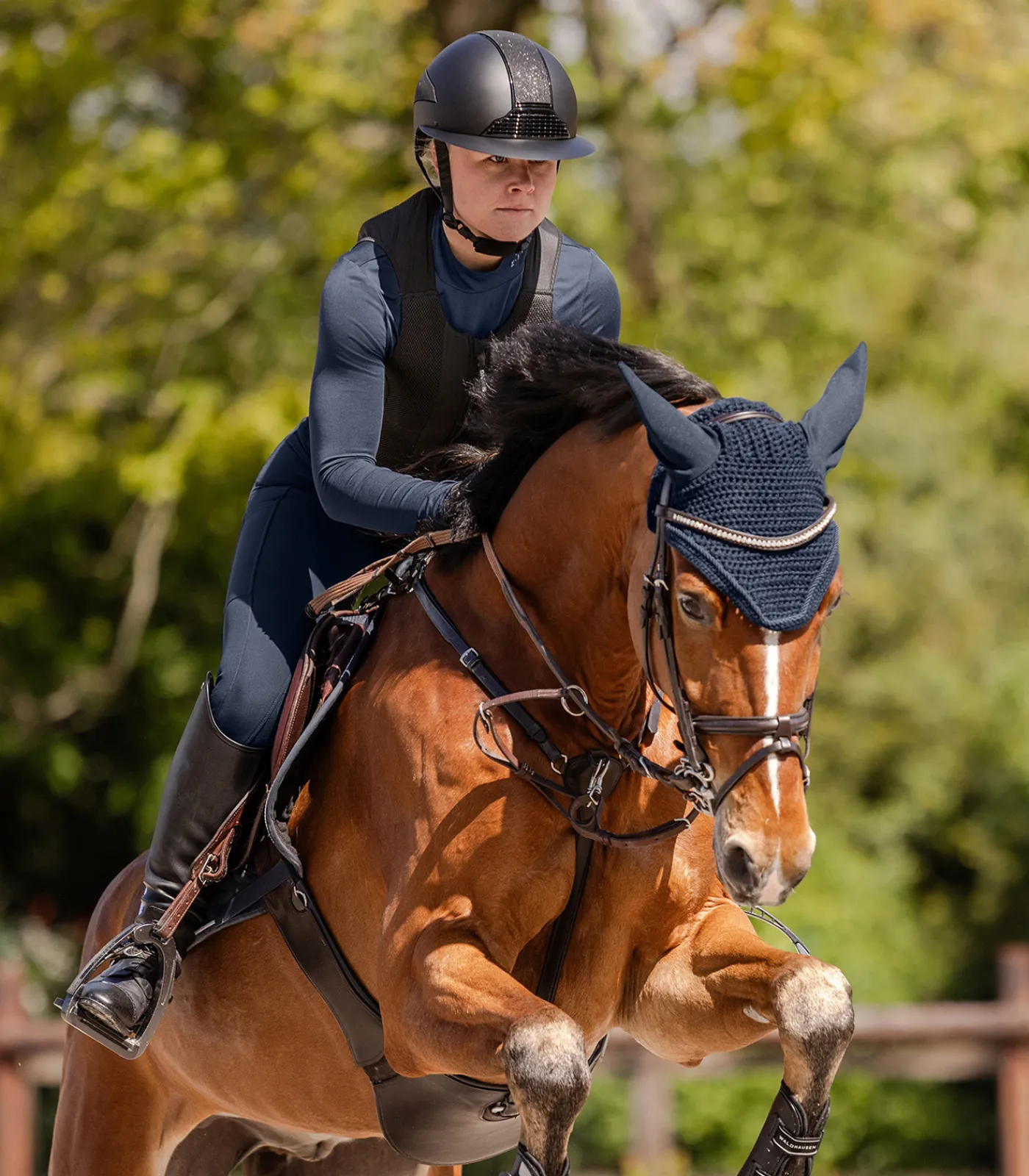 SWING Rückenprotektoren>Rückenprotektor P24 Pro, Erwachsene
